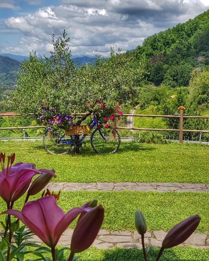 Relax Nella Natura Bolano Exterior foto